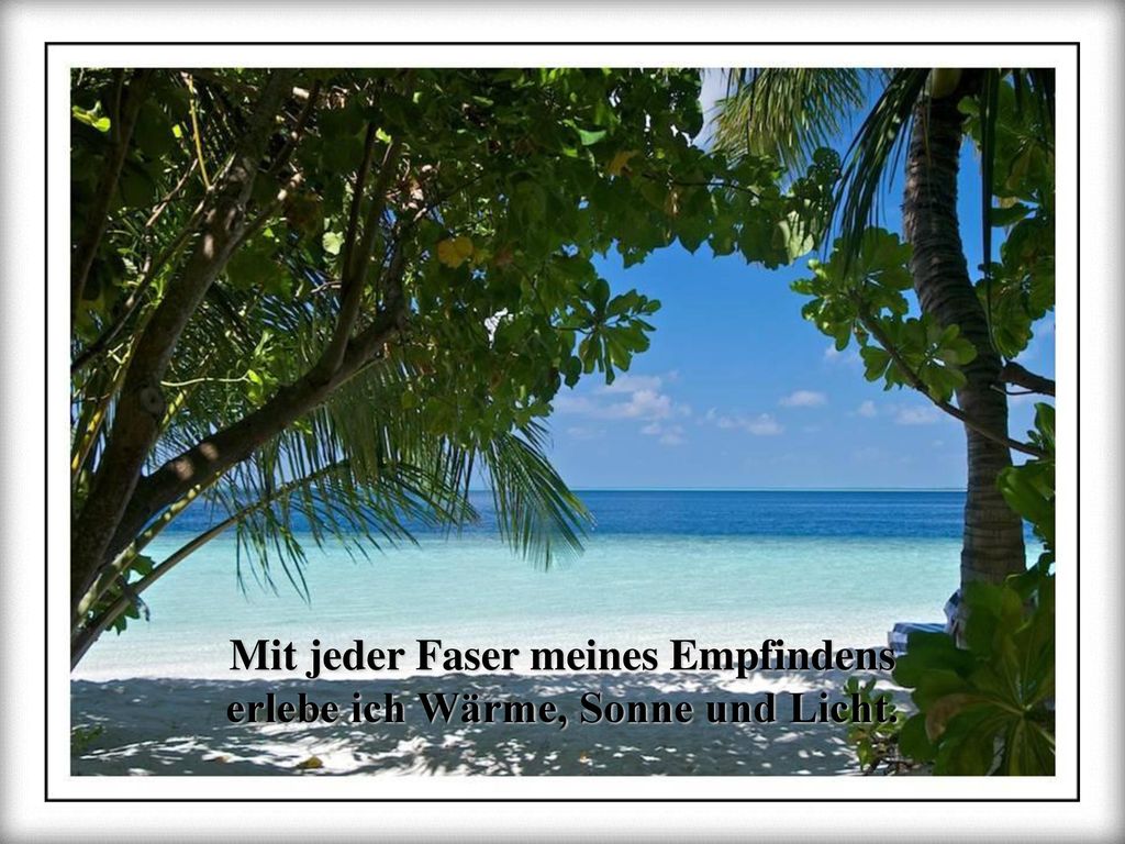 Mit jeder Faser meines Empfindens erlebe ich Wärme, Sonne und Licht.