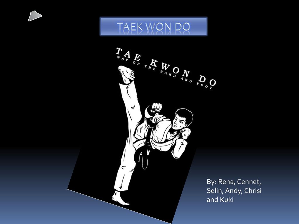 TAEK WON DO By: Rena, Cennet, Selin, Andy, Chrisi and Kuki