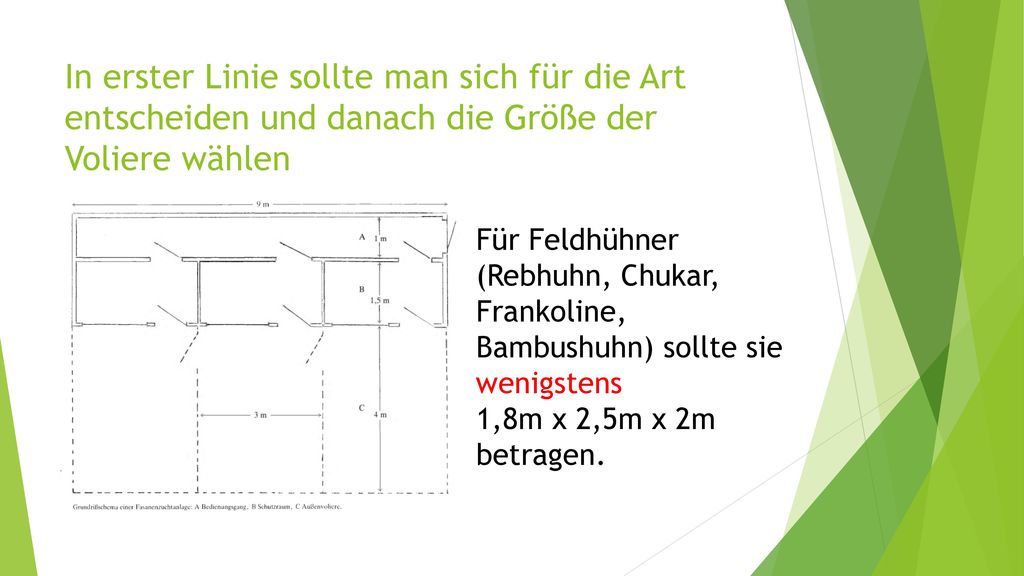 In erster Linie sollte man sich für die Art entscheiden und danach die Größe der Voliere wählen
