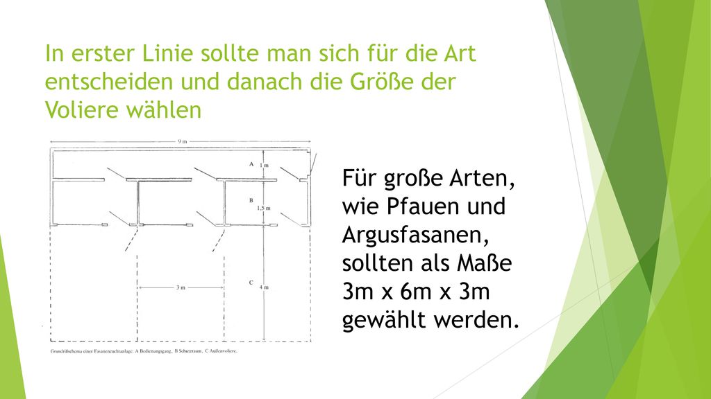 In erster Linie sollte man sich für die Art entscheiden und danach die Größe der Voliere wählen