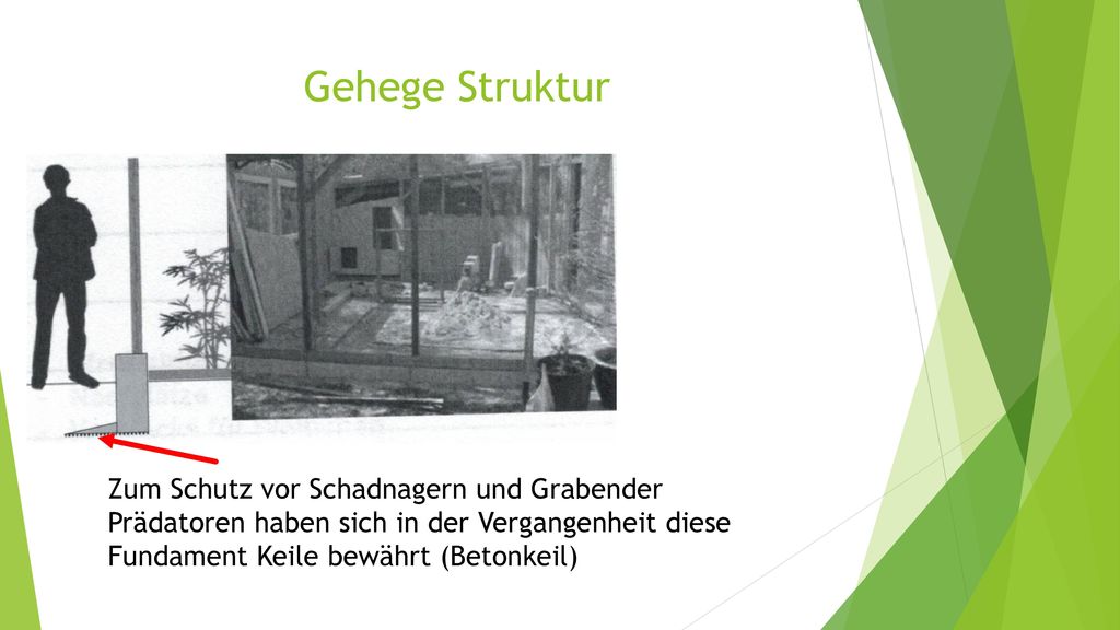 Gehege Struktur Zum Schutz vor Schadnagern und Grabender Prädatoren haben sich in der Vergangenheit diese Fundament Keile bewährt (Betonkeil)