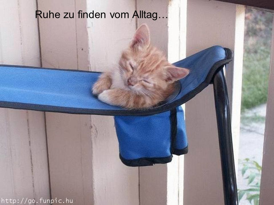 Ruhe zu finden vom Alltag…