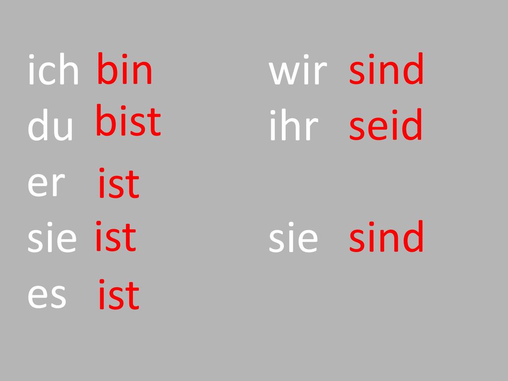 ich du er sie es bin wir ihr sie sind seid bist ist ist ist