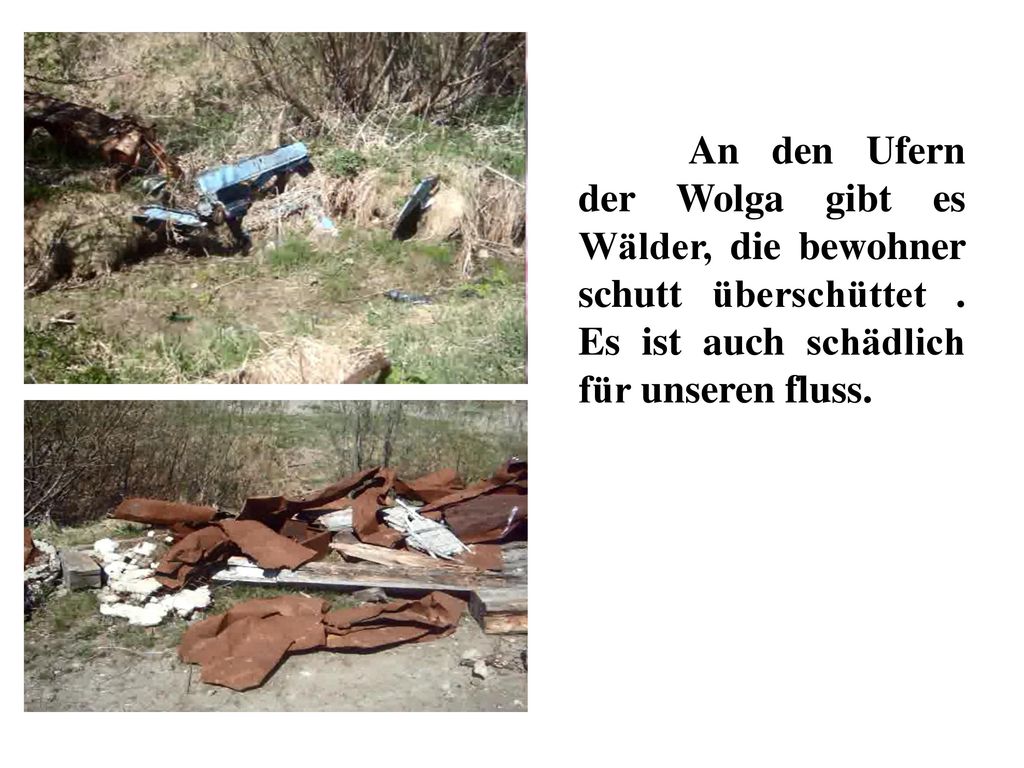 An den Ufern der Wolga gibt es Wälder, die bewohner schutt überschüttet .
