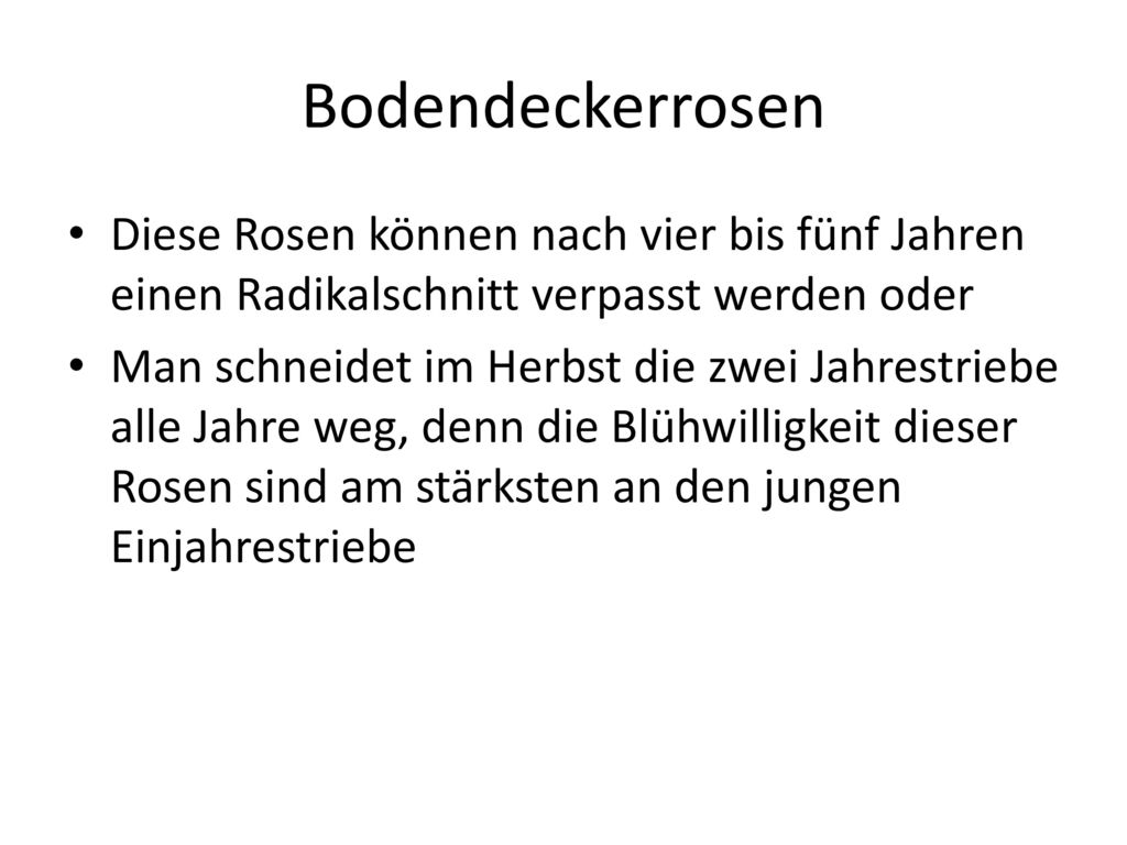 Bodendeckerrosen Diese Rosen können nach vier bis fünf Jahren einen Radikalschnitt verpasst werden oder.