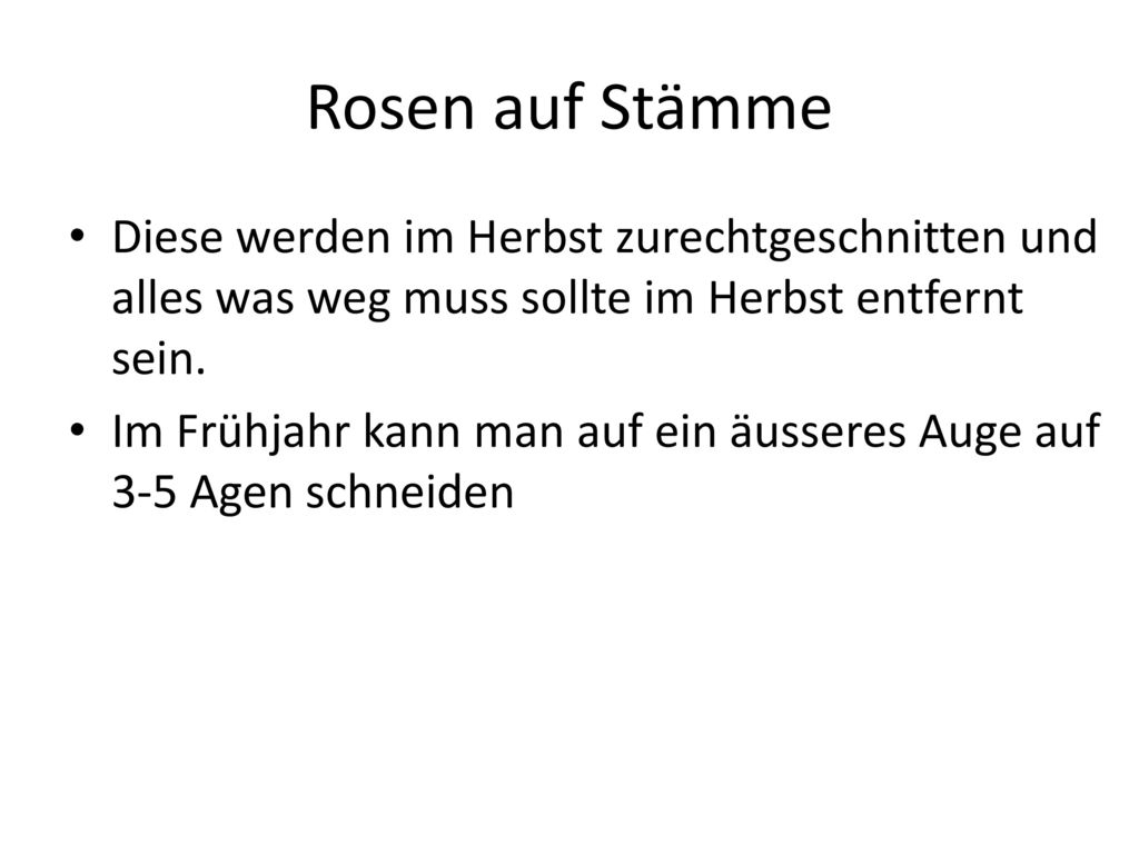 Rosen auf Stämme Diese werden im Herbst zurechtgeschnitten und alles was weg muss sollte im Herbst entfernt sein.