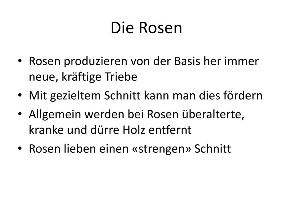 Die Rosen Rosen produzieren von der Basis her immer neue, kräftige Triebe. Mit gezieltem Schnitt kann man dies fördern.