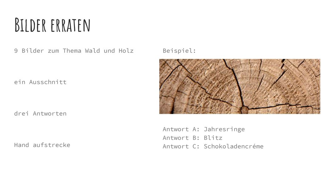 Bilder erraten 9 Bilder zum Thema Wald und Holz ein Ausschnitt