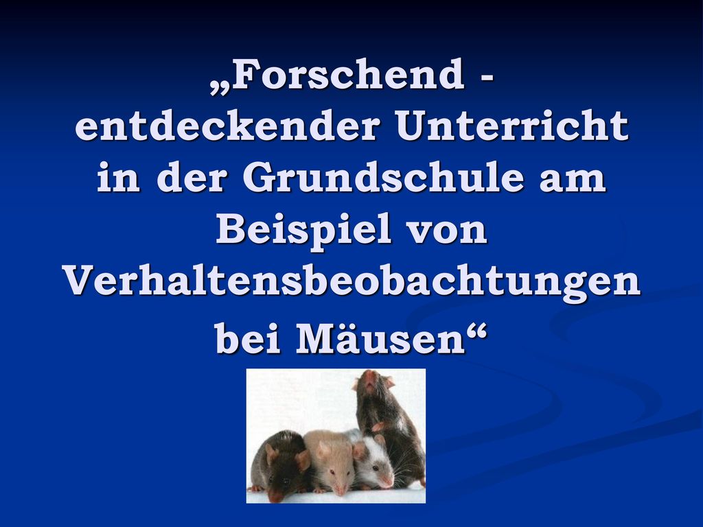 „Forschend - entdeckender Unterricht in der Grundschule am Beispiel von Verhaltensbeobachtungen bei Mäusen