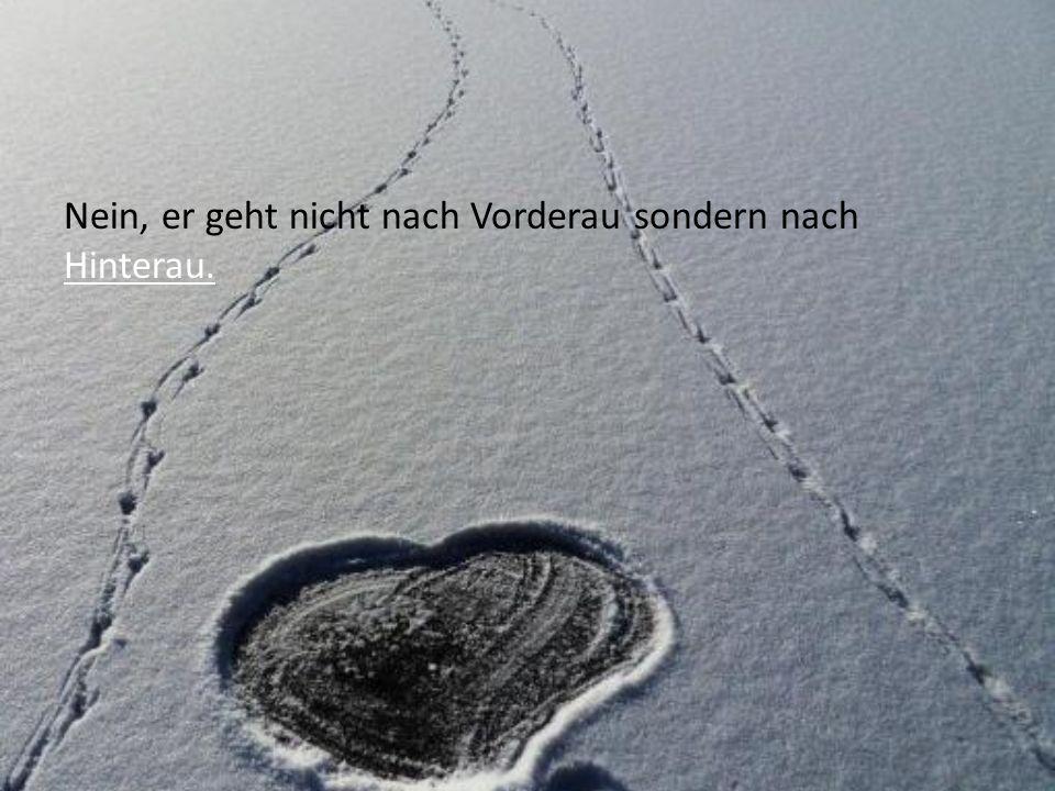 Nein, er geht nicht nach Vorderau sondern nach Hinterau.
