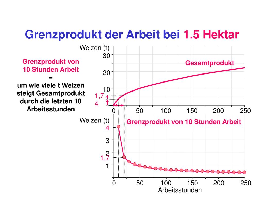 Grenzprodukt der Arbeit bei 1.5 Hektar