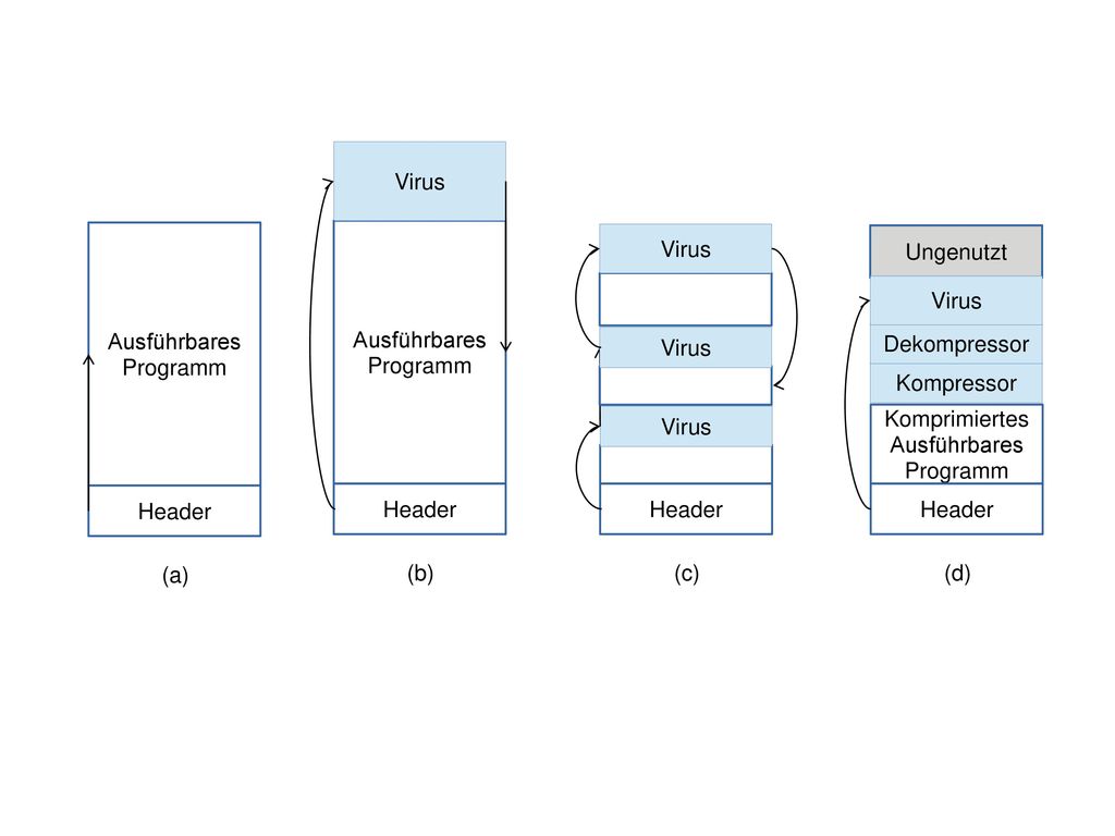 Virus Ausführbares. Programm. Ausführbares. Programm. Virus. Ungenutzt. Virus. Virus. Dekompressor.