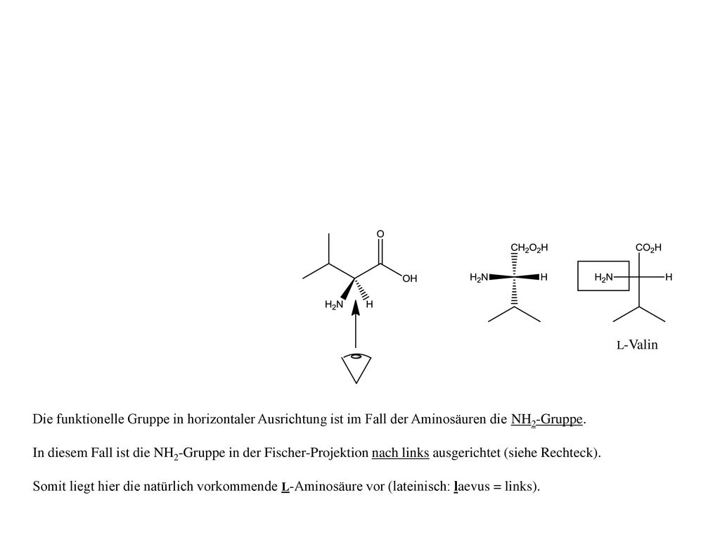 L-Valin Die funktionelle Gruppe in horizontaler Ausrichtung ist im Fall der Aminosäuren die NH2-Gruppe.