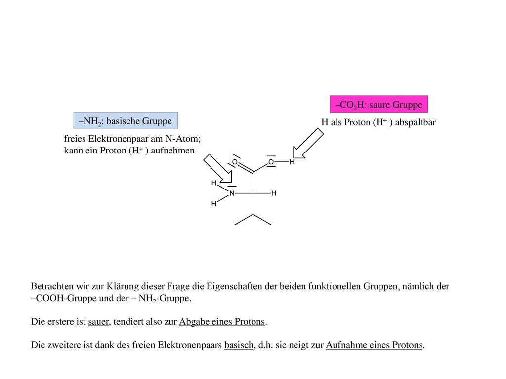 –CO2H: saure Gruppe –NH2: basische Gruppe. H als Proton (H+ ) abspaltbar. freies Elektronenpaar am N-Atom;