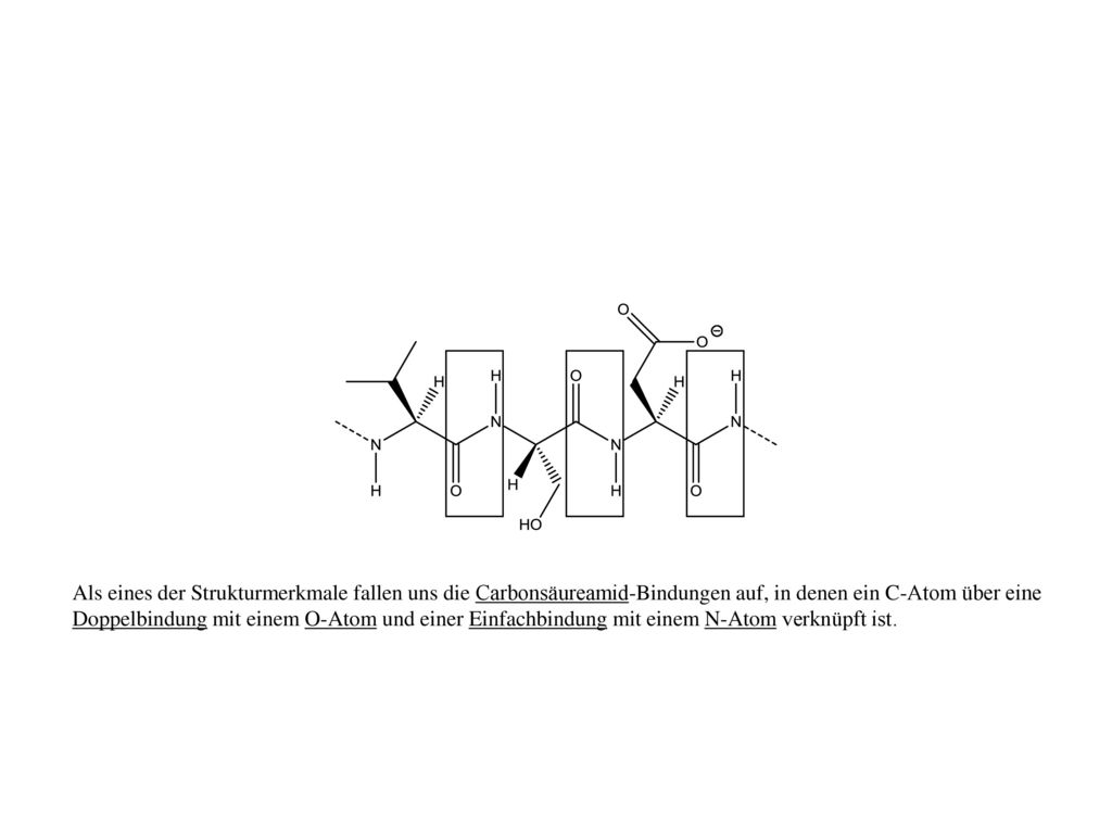 Als eines der Strukturmerkmale fallen uns die Carbonsäureamid-Bindungen auf, in denen ein C-Atom über eine