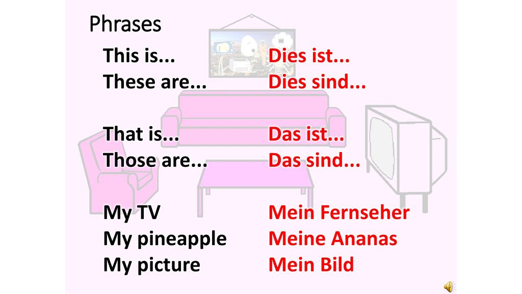 Phrases This is... These are... That is... Those are... My TV
