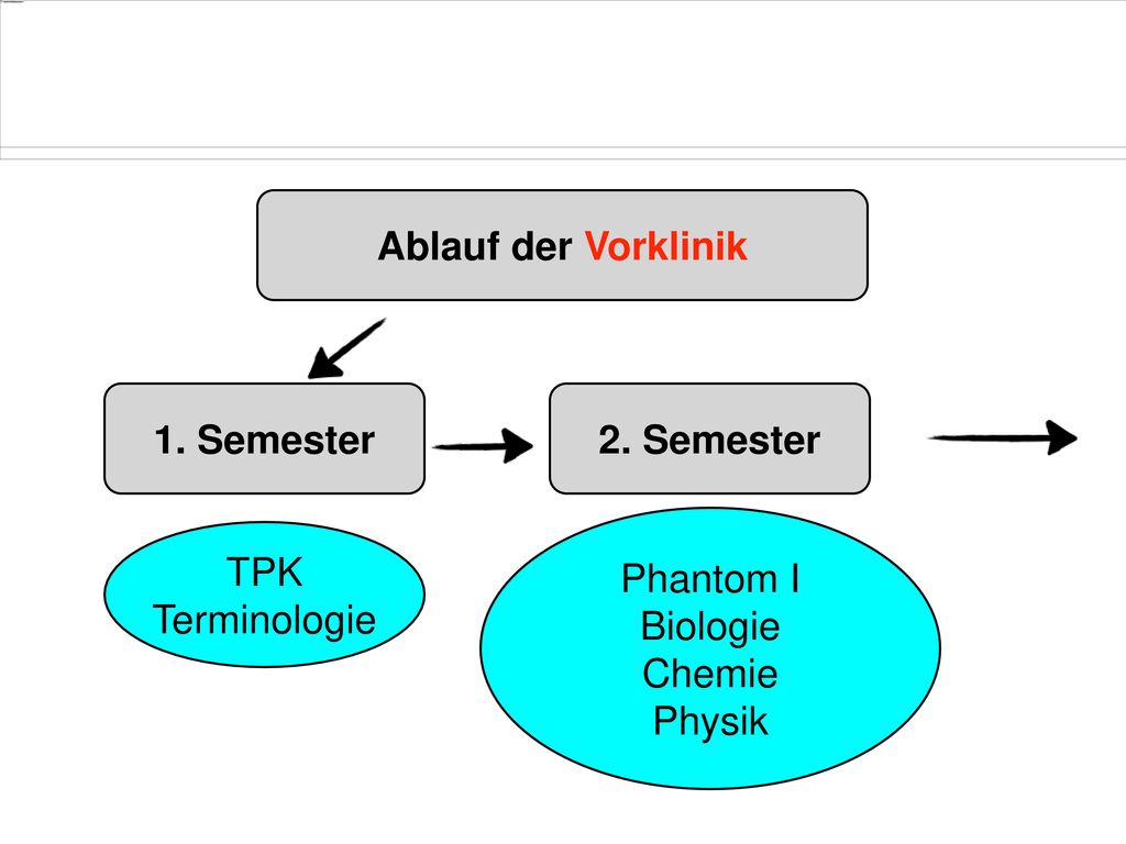 Ablauf der Vorklinik 1. Semester 2. Semester Phantom I Biologie Chemie Physik TPK Terminologie