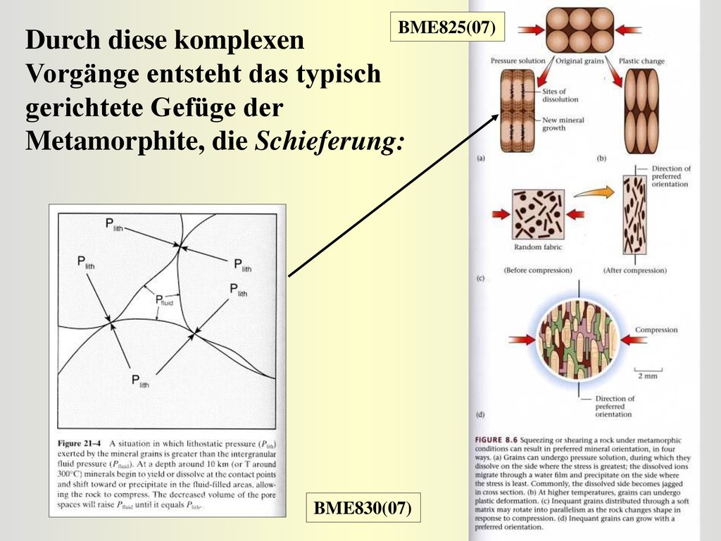 BME825(07) Durch diese komplexen Vorgänge entsteht das typisch gerichtete Gefüge der Metamorphite, die Schieferung: