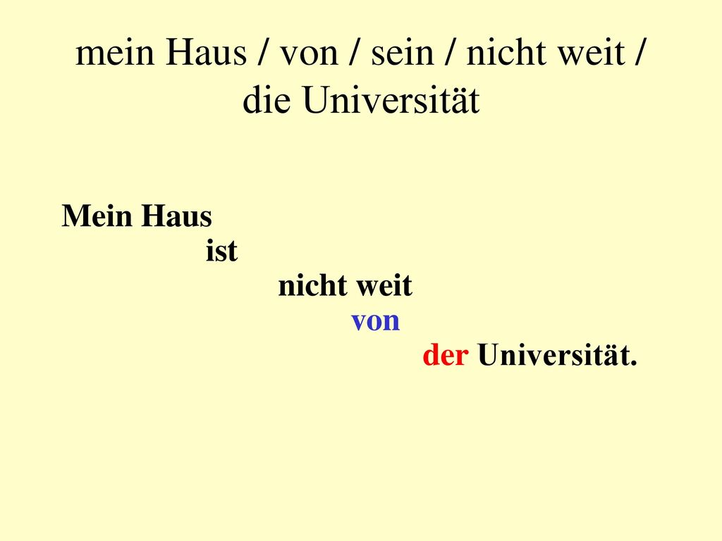 mein Haus / von / sein / nicht weit / die Universität