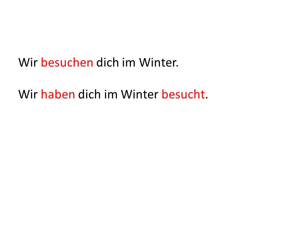 Wir besuchen dich im Winter. Wir haben dich im Winter besucht.