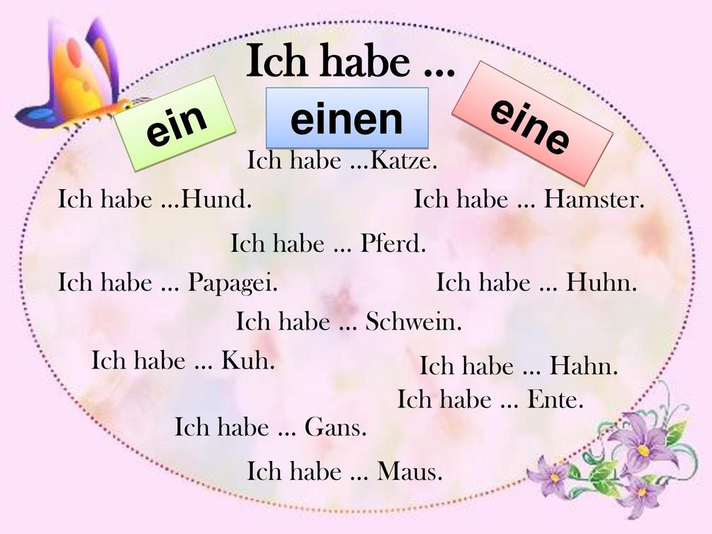 Ich habe … ein eine einen Ich habe …Katze. Ich habe …Hund.