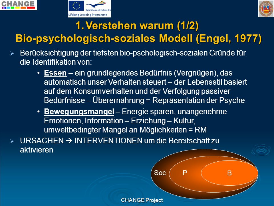Bio-psychologisch-soziales Modell (Engel, 1977)