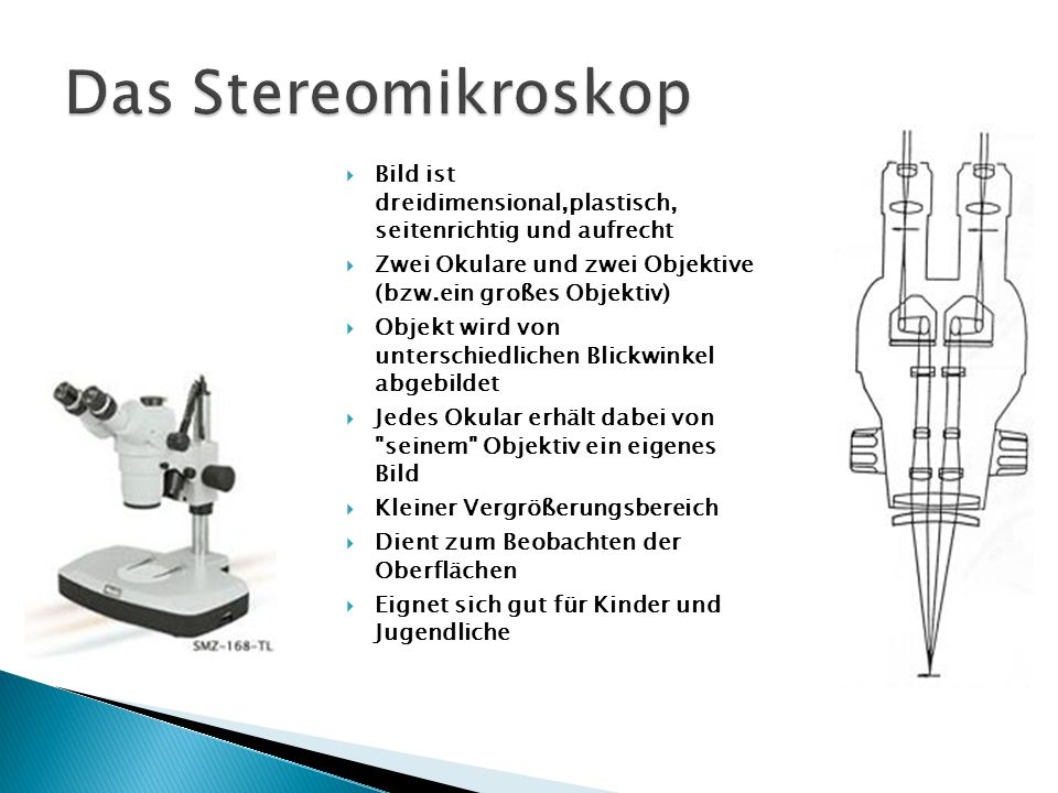 Das Stereomikroskop Bild ist dreidimensional,plastisch, seitenrichtig und aufrecht. Zwei Okulare und zwei Objektive (bzw.ein großes Objektiv)