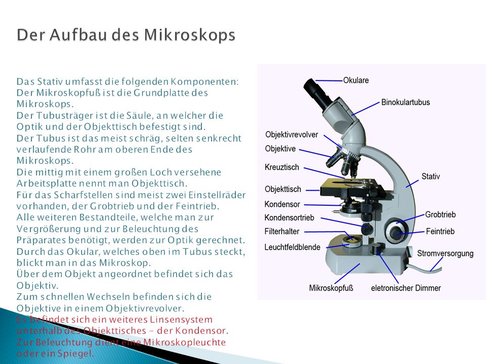 Das Mikroskop Ist ein Gerät das es erlaubt, Objekte vergrößert anzusehen  oder bildlich darzustellen. Dabei handelt es sich meist um Objekte bzw. die  Struktur. - ppt video online herunterladen