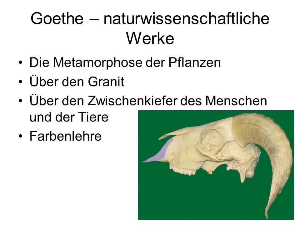 Goethe – naturwissenschaftliche Werke