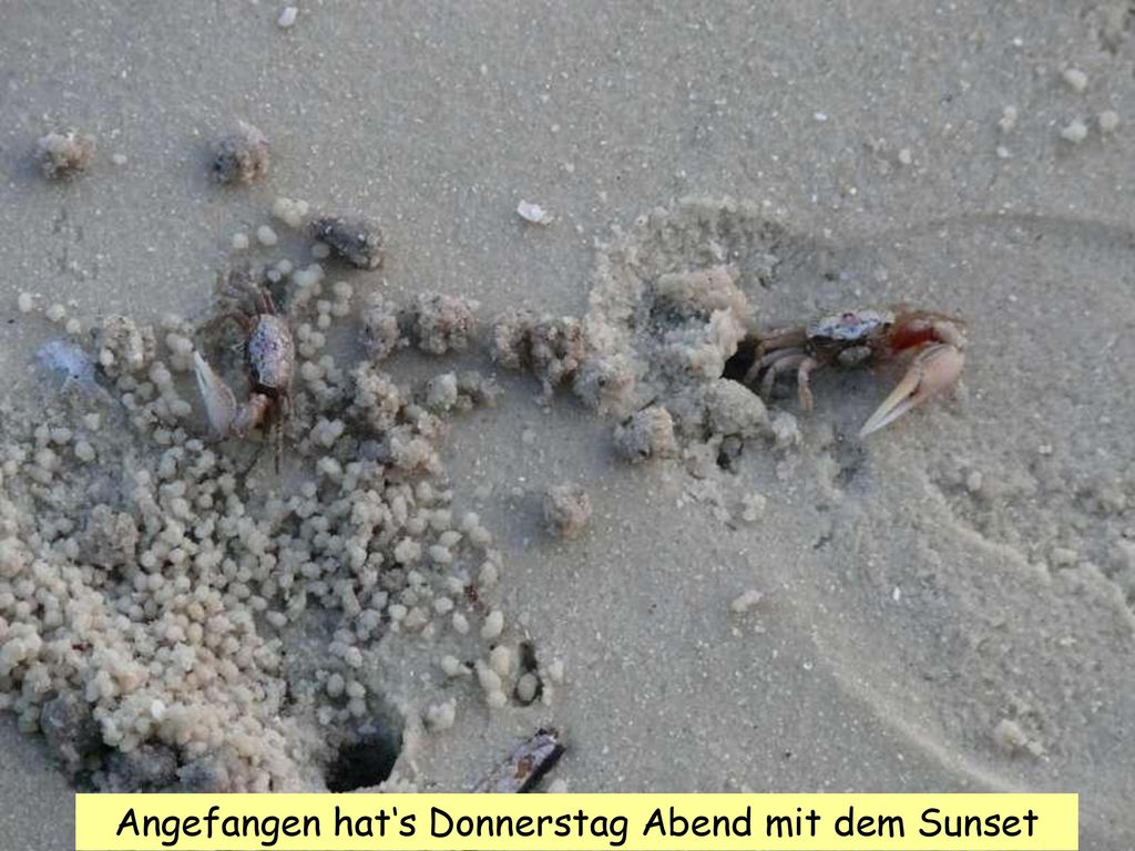 Angefangen hat‘s Donnerstag Abend mit dem Sunset