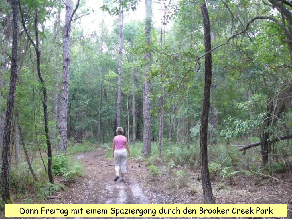 Dann Freitag mit einem Spaziergang durch den Brooker Creek Park