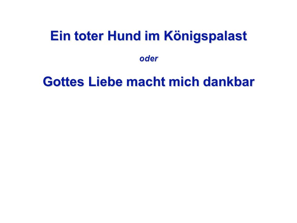Ein toter Hund im Königspalast Gottes Liebe macht mich dankbar