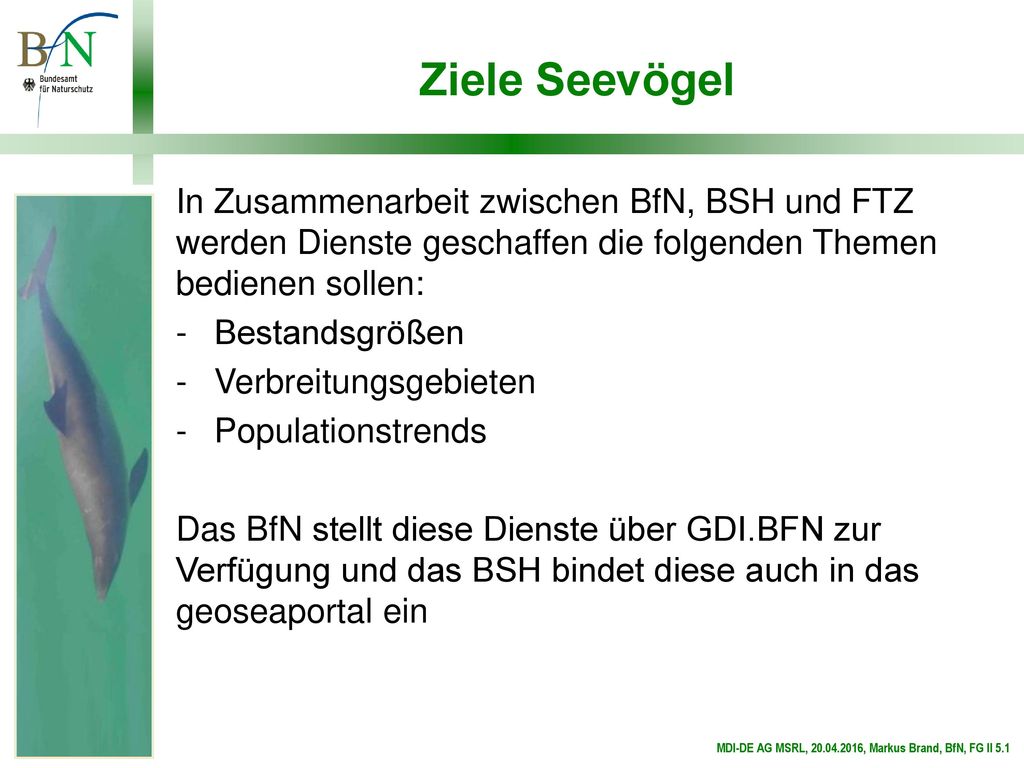 Ziele Seevögel In Zusammenarbeit zwischen BfN, BSH und FTZ werden Dienste geschaffen die folgenden Themen bedienen sollen: