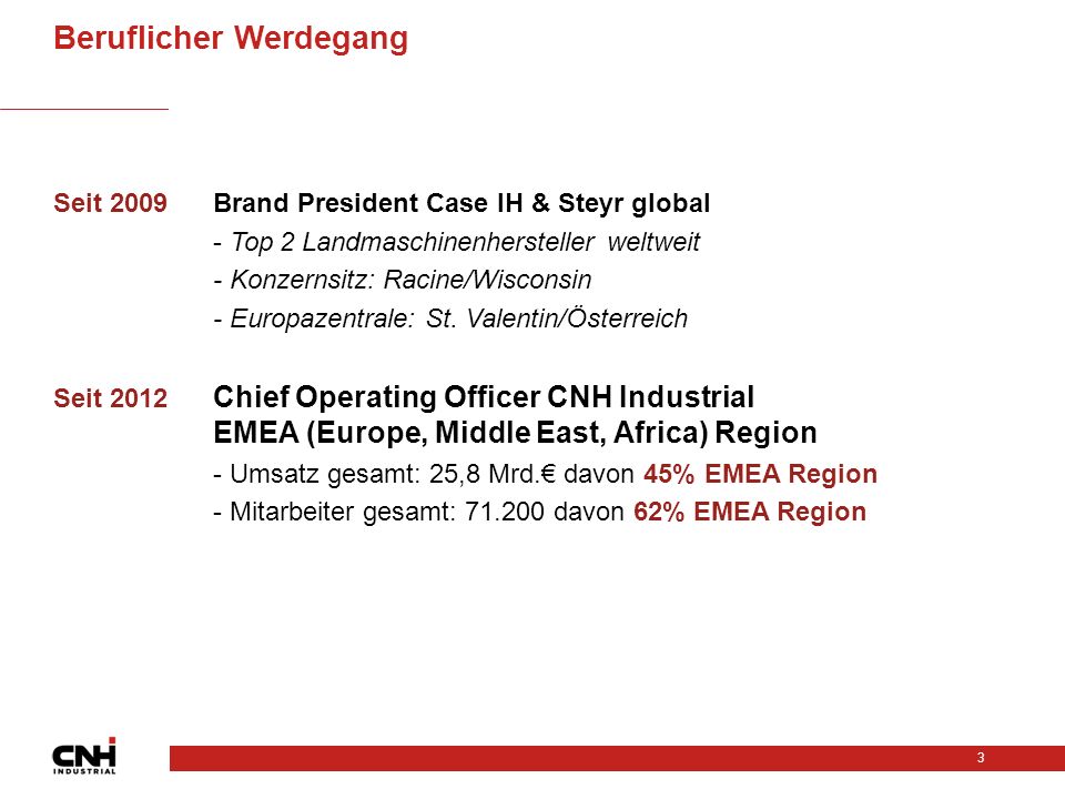 Beruflicher Werdegang