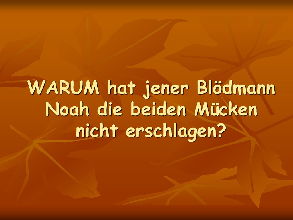 WARUM hat jener Blödmann Noah die beiden Mücken nicht erschlagen