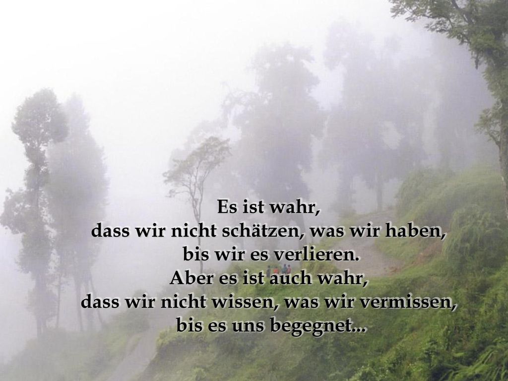 dass wir nicht schätzen, was wir haben, bis wir es verlieren.