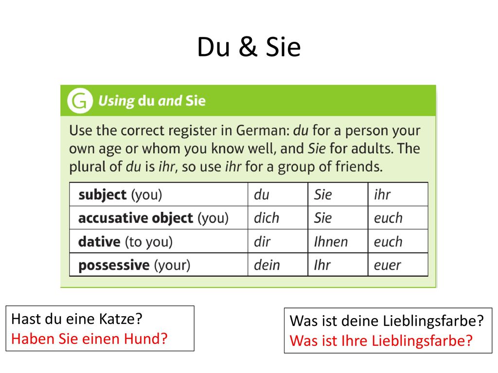 Du & Sie Hast du eine Katze Was ist deine Lieblingsfarbe