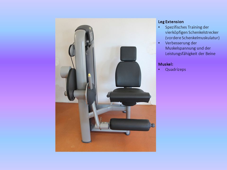 Leg Extension Spezifisches Training der vierköpfigen Schenkelstrecker (vordere Schenkelmuskulatur)
