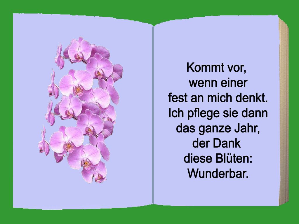 Kommt vor, wenn einer. fest an mich denkt. Ich pflege sie dann. das ganze Jahr, der Dank. diese Blüten: