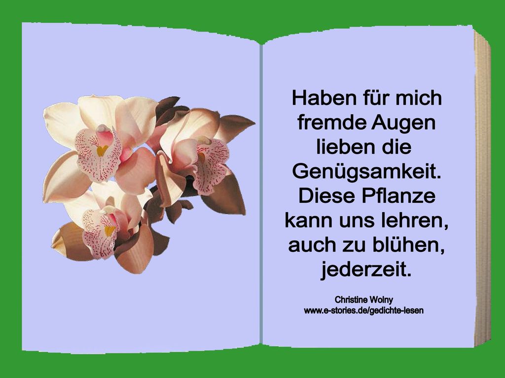 Haben für mich fremde Augen lieben die Genügsamkeit. Diese Pflanze
