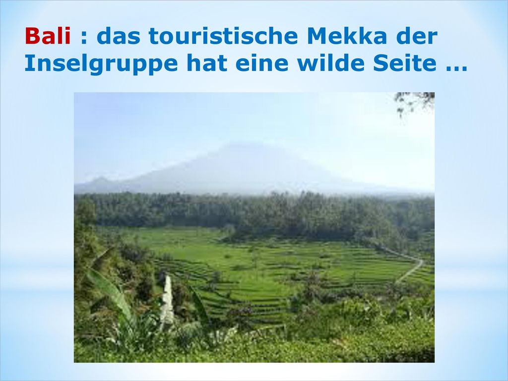 Bali : das touristische Mekka der Inselgruppe hat eine wilde Seite …