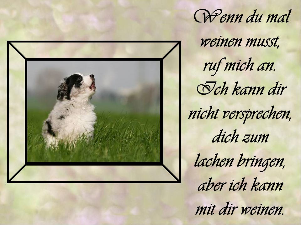 Wenn du mal weinen musst, ruf mich an. Ich kann dir. nicht versprechen, dich zum. lachen bringen,
