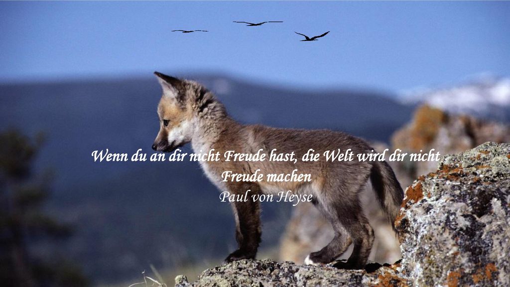 Wenn du an dir nicht Freude hast, die Welt wird dir nicht Freude machen