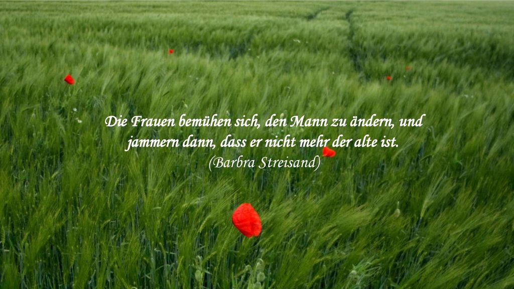 Die Frauen bemühen sich, den Mann zu ändern, und jammern dann, dass er nicht mehr der alte ist.