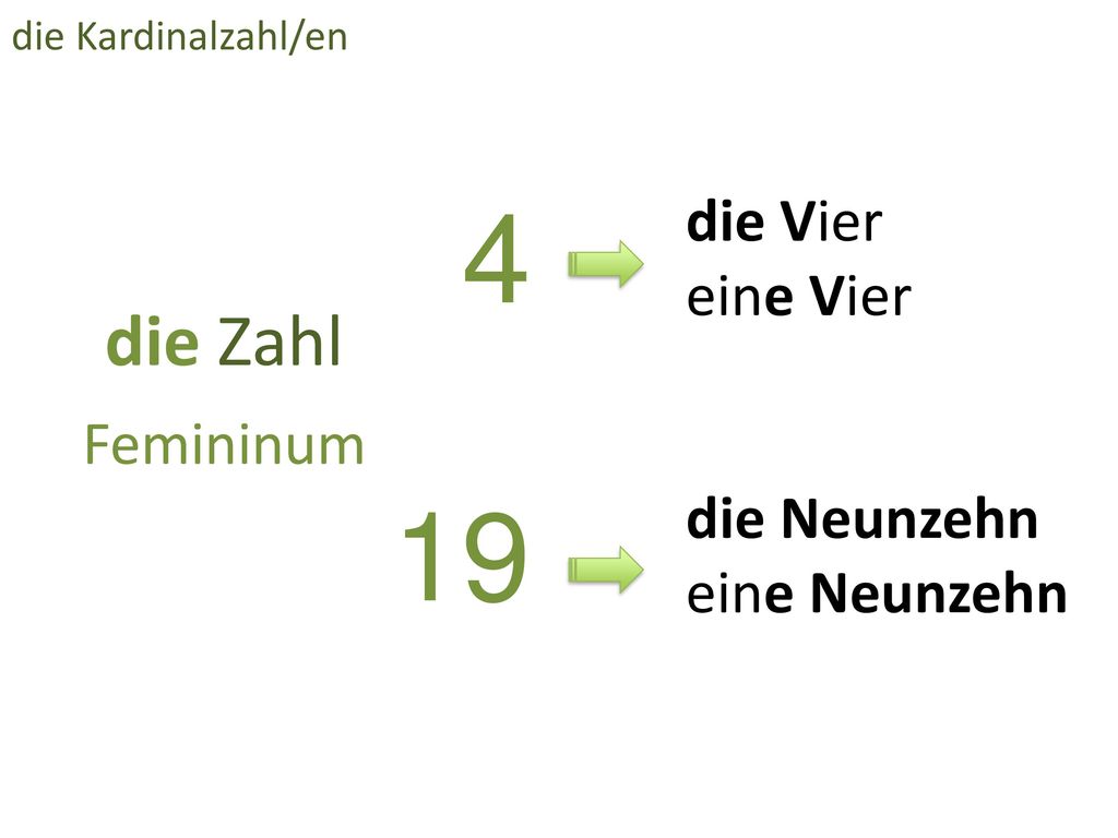 4 19 die Zahl die Vier eine Vier Femininum die Neunzehn eine Neunzehn