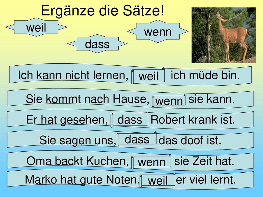 Ergänze die Sätze! weil wenn dass Ich kann nicht lernen, ich müde bin.