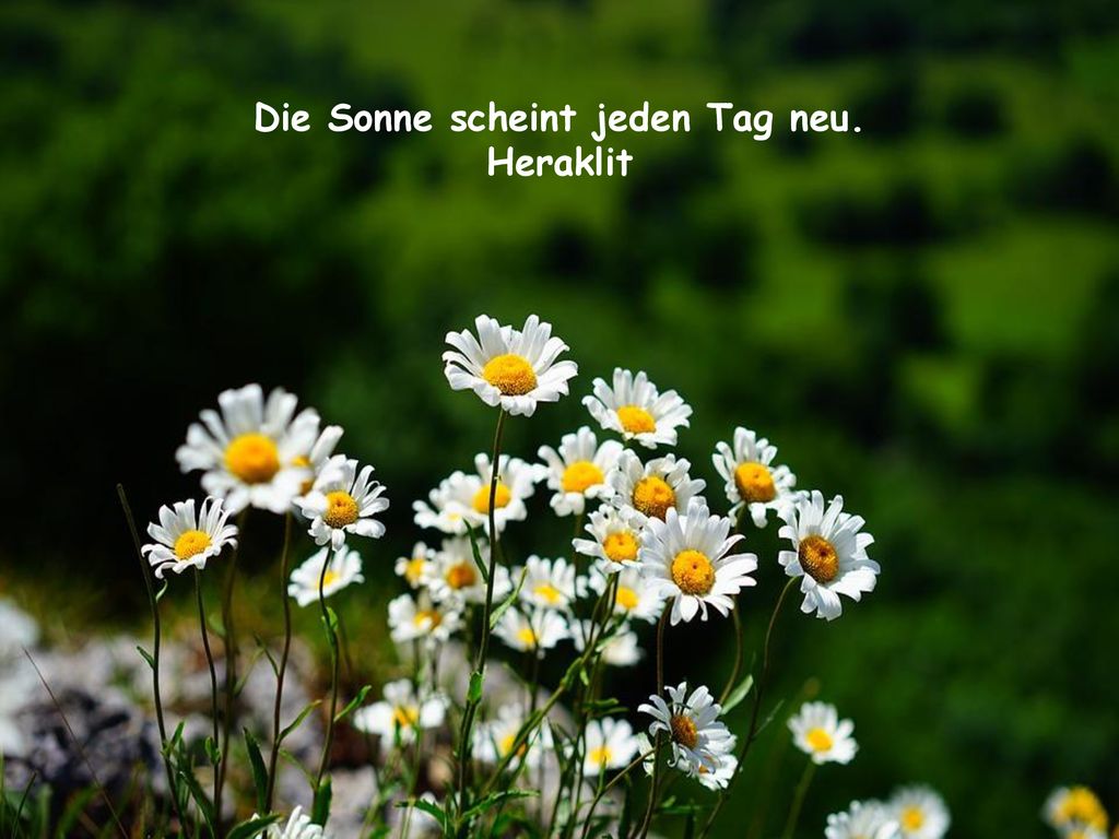Die Sonne scheint jeden Tag neu.