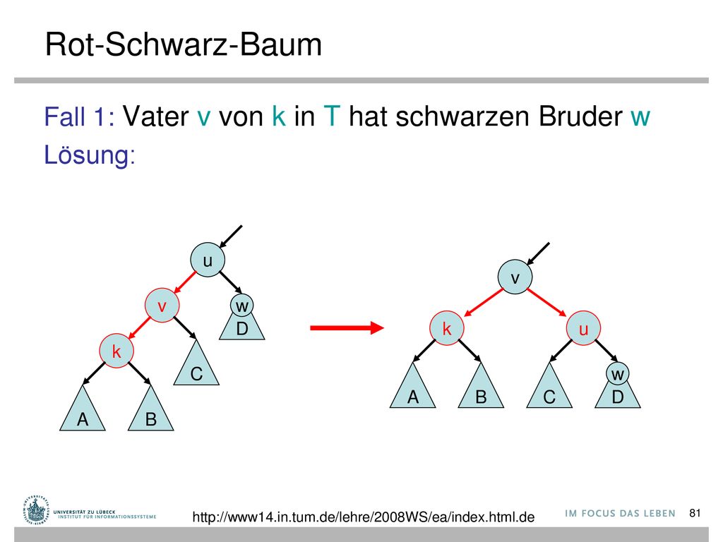 Rot-Schwarz-Baum Fall 1: Vater v von k in T hat schwarzen Bruder w