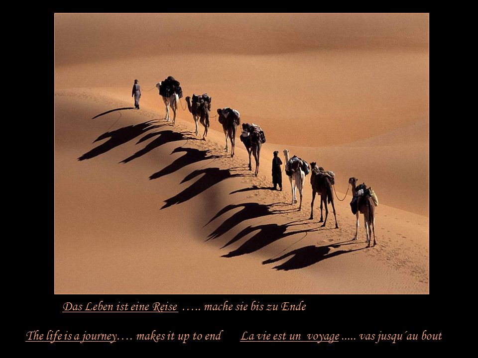 Das Leben ist eine Reise ….. mache sie bis zu Ende