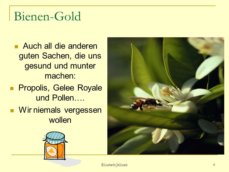 Bienen-Gold Auch all die anderen guten Sachen, die uns gesund und munter machen: Propolis, Gelee Royale und Pollen….